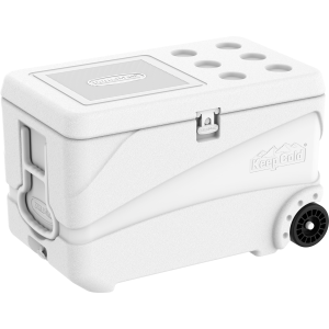 Deluxe Icebox 84L White