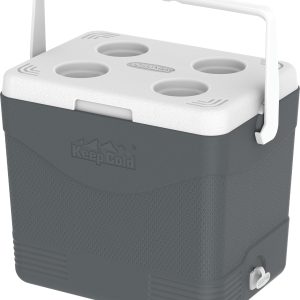 Picnic Icebox 24L Grey